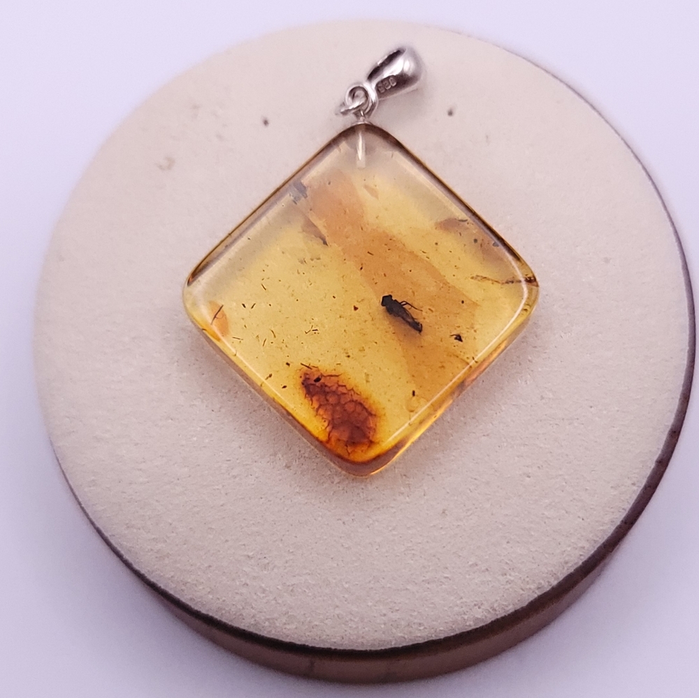 Baltic Amber pendant with insect inclusion